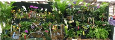2008 Show