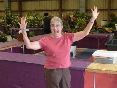 2011 Show