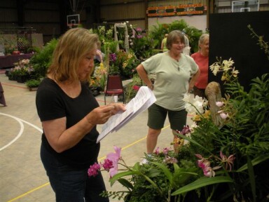 2011 Show