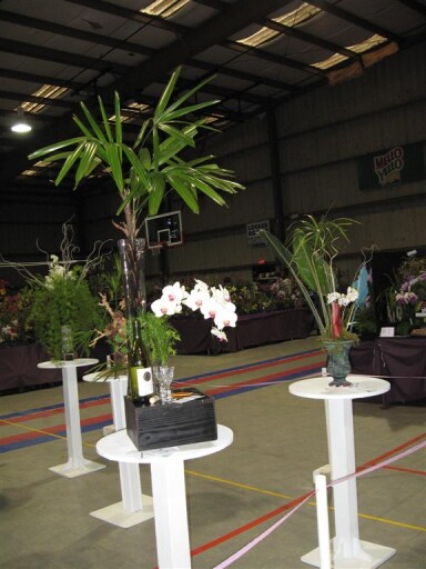 2011 Show