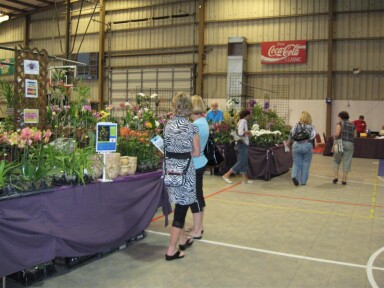 2011 Show