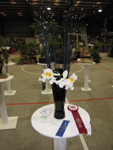 2011 Show