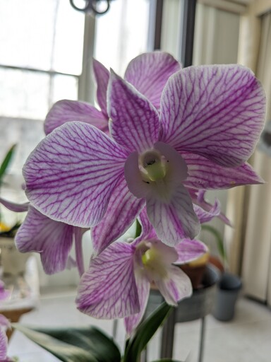 06 June