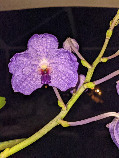 10 October
